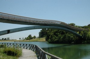公園内の歩道橋